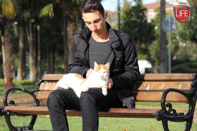 sokak-hayvanlari-kadikoy-istanbul-hayvanseverler-kadikoy-life-dergisi (36)