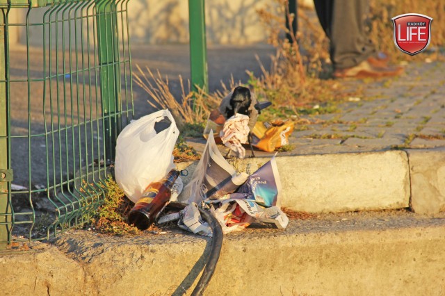sokak-hayvanlari-kadikoy-istanbul-hayvanseverler-kadikoy-life-dergisi (6)