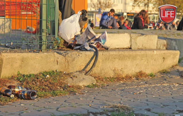sokak-hayvanlari-kadikoy-istanbul-hayvanseverler-kadikoy-life-dergisi (8)