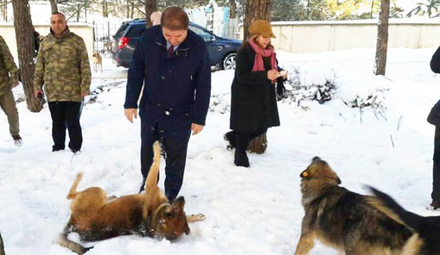 maltepe veterinerlik (3)