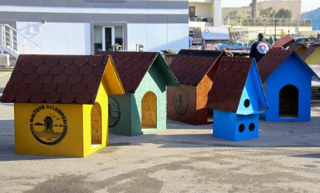 maltepe veterinerlik (4)