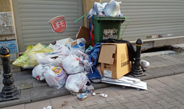 Tehlike sadece Kurbağalıdere çevresinde değil! Rıhtım'a çıkan ara sokaklarda, Kadıköy'ün göbeğinde saatlerce toplanmayan çöp konteynerleri işte bu manzaraları beraberinde getirdi. Uzun yıllardır Rıhtım'da ikamet eden Deniz Erol; "Kadıköy'de bir temizlik sorunu var, bunu artık kalıcı olarak çözsünler, yeter. Kapı pencere açamıyoruz, odamıza büyük kara sinekler doluyor" dedi.