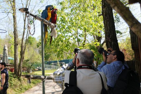 turizm-haftasi-beykoz-kesfi (2)